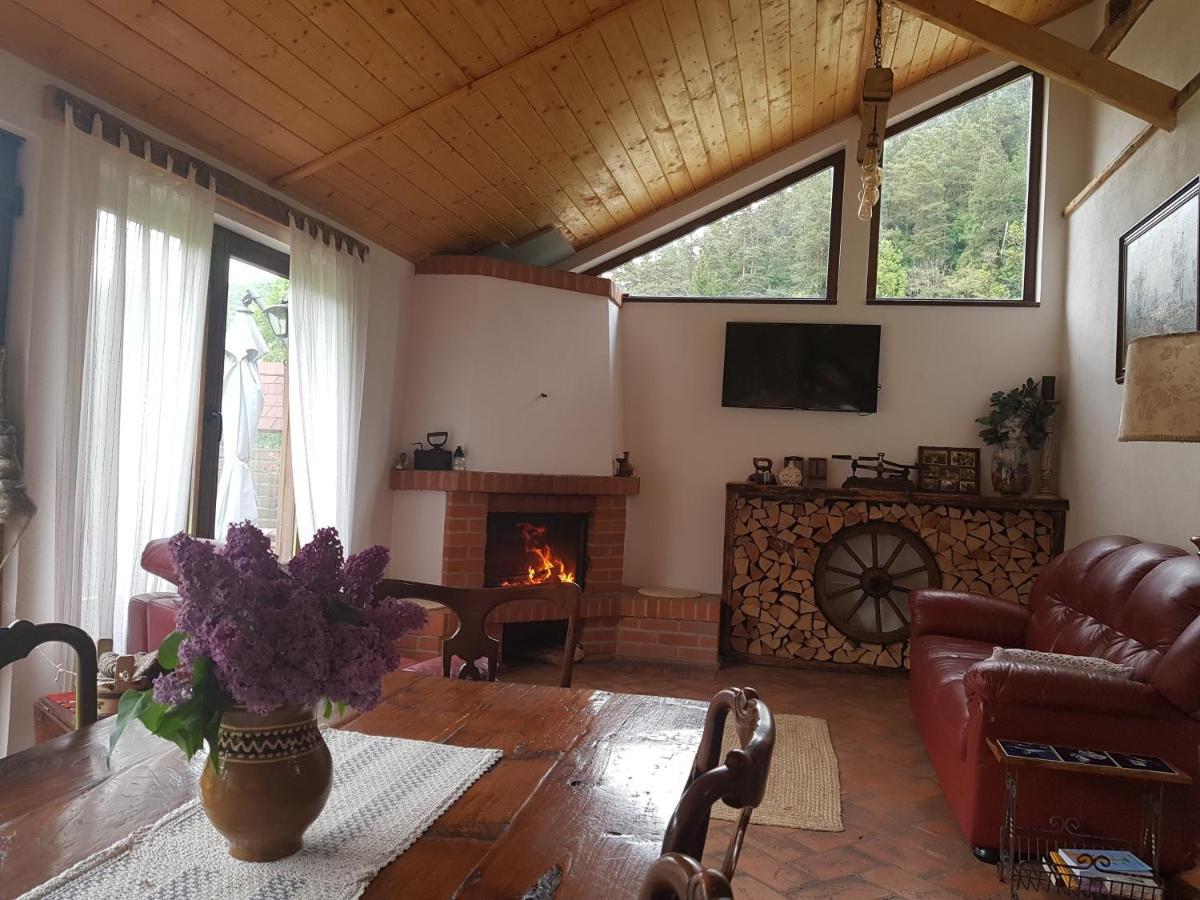 Sura Lu' Vasile. Bed & Breakfast Crivina  Exterior photo
