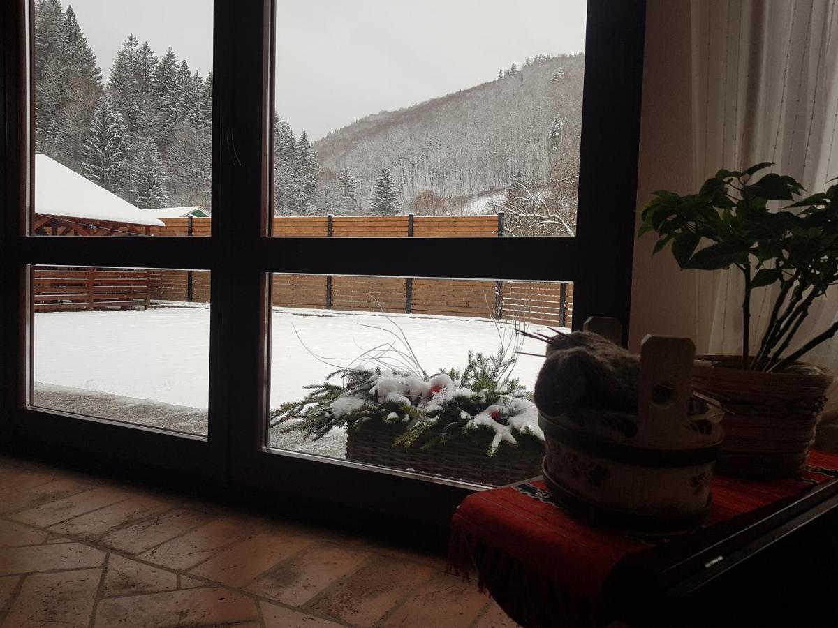 Sura Lu' Vasile. Bed & Breakfast Crivina  Exterior photo