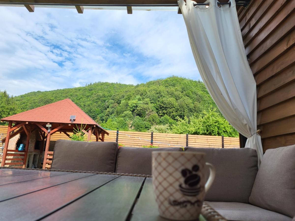 Sura Lu' Vasile. Bed & Breakfast Crivina  Exterior photo